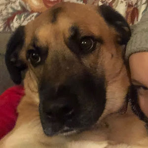 Meet your Posher, Mackenzie